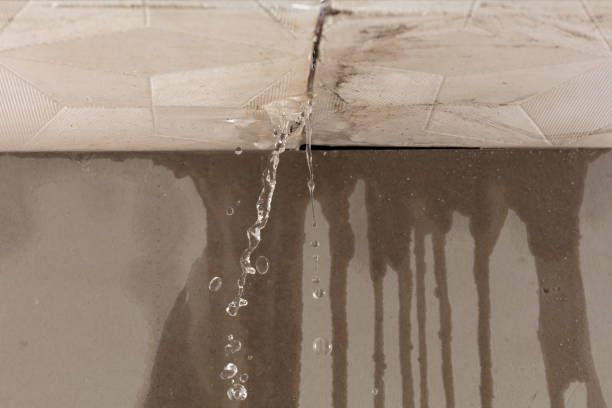 Professional Water Damage Repair technician working in Blanco, TX